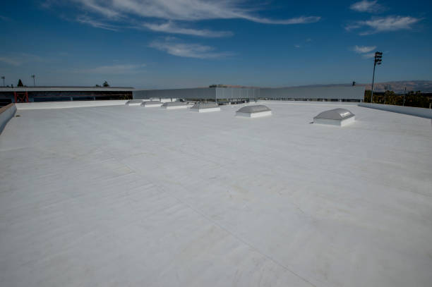 Best Skylight Installation and Repair  in Bertsch Oceanview, CA