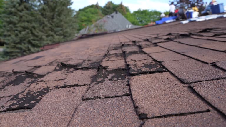 Best Asphalt Shingles Roofing  in Bertsch Oceanview, CA