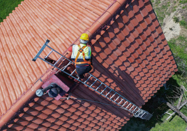 Best Roof Ventilation Installation  in Bertsch Oceanview, CA