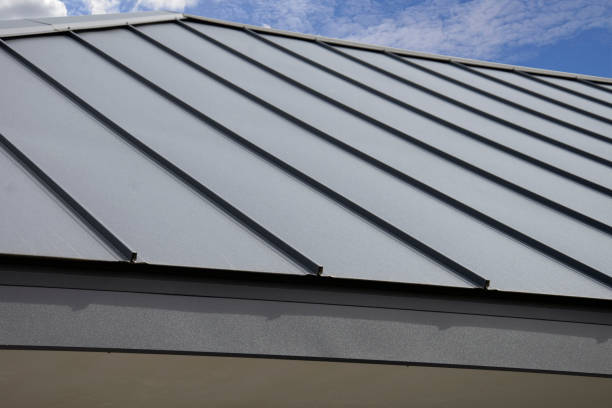 Best Steel Roofing  in Bertsch Oceanview, CA
